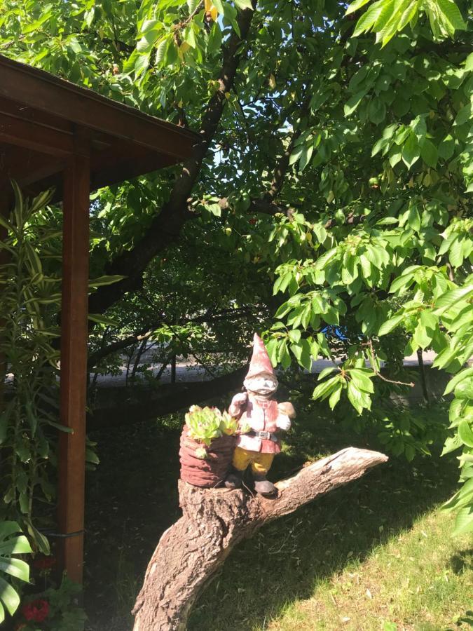 Broj Jedan Leilighet Soko Banja Eksteriør bilde